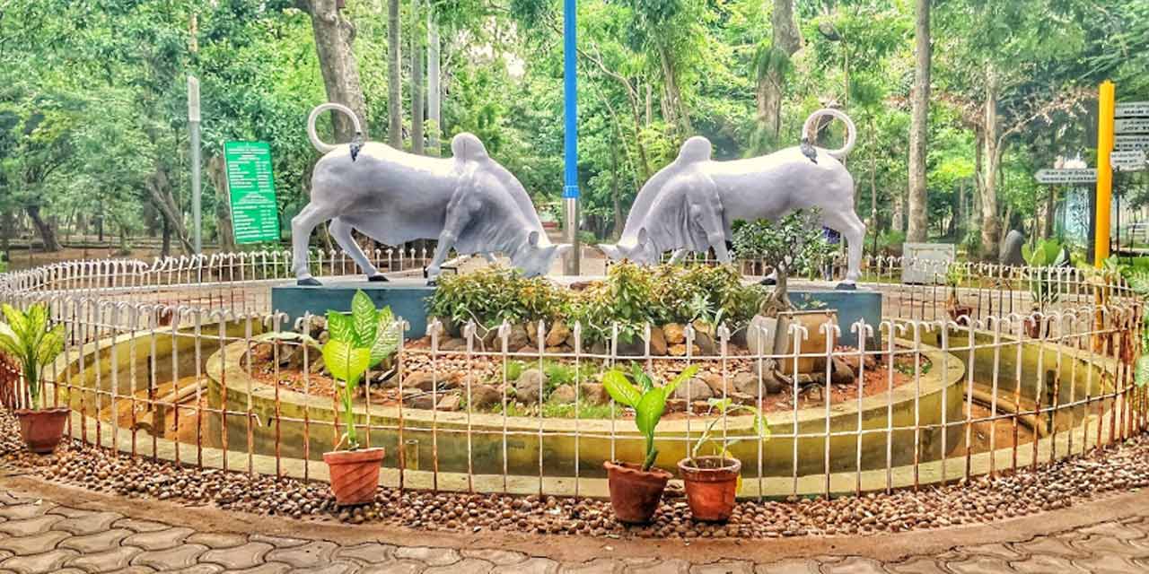 Places to Visit Botanical Garden, Pondicherry