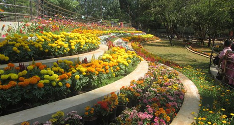 Botanical Garden Puducherry Entry Fee Timings Images Location